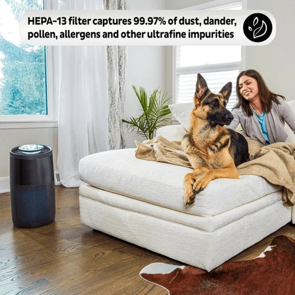 Instant Air Purifier, Large Room - Image 3